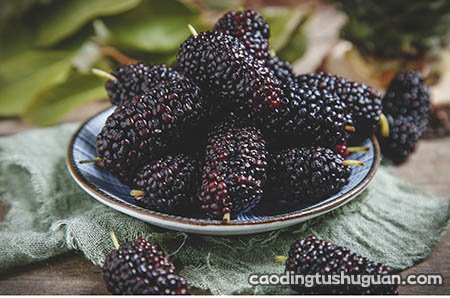 吃水果对试管移植后的血糖有影响吗？