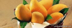 芒果如何催熟变黄