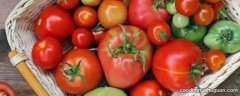 番茄绿瓤能吃吗