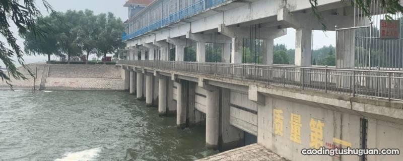 黄河下游分洪蓄洪工程是什么