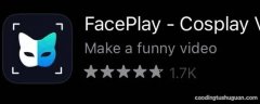 faceplay是哪家公司开发的