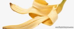 香蕉皮能循环使用吗