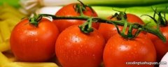 西红柿里面为什么有白点点