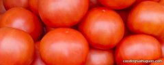 西红柿的籽是绿色的能吃吗