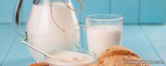 奶类主要可以提供哪些营养成分