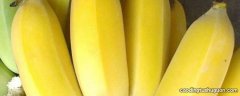像香蕉的水果叫什么
