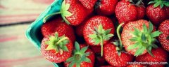 草莓为什么要用盐水泡
