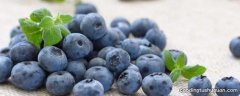 蓝莓可以直接生吃吗