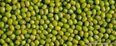 绿豆汤发酸是什么原因
