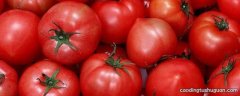 番茄是嫌光种子吗
