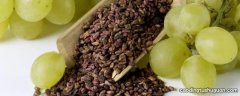 澳洲葡萄籽怎么吃