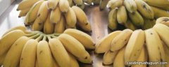 苹果香蕉是什么香蕉