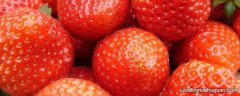 草莓放冰箱能保存多久