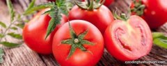 转基因西红柿都有哪些
