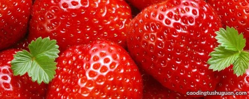 草莓一半红一半白能不能吃