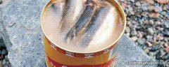 鲱鱼罐头的臭味像什么
