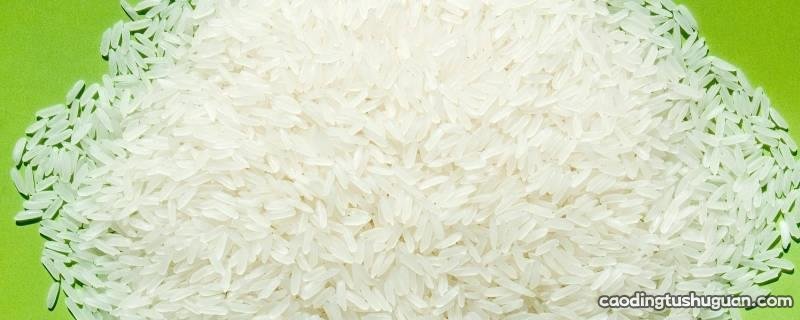 米放久了长虫怎么办