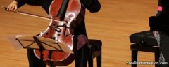 cello是什么乐器