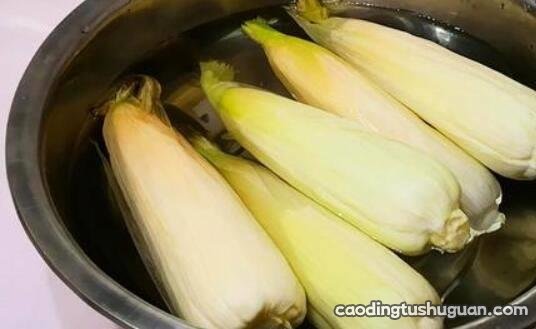 玉米要煮几分钟才熟