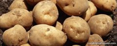 怎么判断土豆成熟可挖