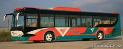 广州市新公交车都是豪华大巴吗
