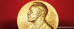 为什么诺贝尔文学奖每年只颁给一个人