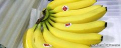 香蕉如何保鲜不容易发黑