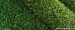 40mm草坪地毯一平米重量