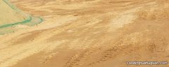 沙土属于哪种粉尘