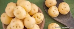 曲阜土豆叫什么
