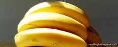 发黑的香蕉能吃吗