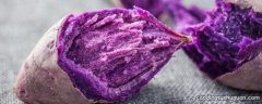 蒸好的紫薯怎么保存