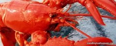 龙虾吃多了对身体危害吗