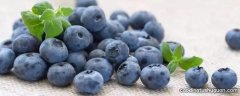 蓝莓不放冰箱可以放多久
