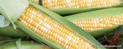 玉米减产率怎么计算