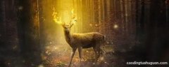 鹿的繁殖为什么和光照强度有关系