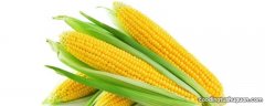 一个玉米的热量是多少千焦